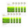 3WClinic - Green Tea Essential Up Sheet Mask - 1pack (10pcs)
