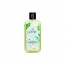 THE PURE LOTUS - Lotus Leaf Shampoo for Middle & Dry Scalp - 260ml
