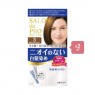 Dariya Salon De Pro - Hair Color Cream - 1box - 3 Bright light brown (2ea) Set