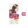 Dariya - Salon de Pro Grey Hair Coloring Liquid - 1set - #3 Blondish Brown (10ea) Set