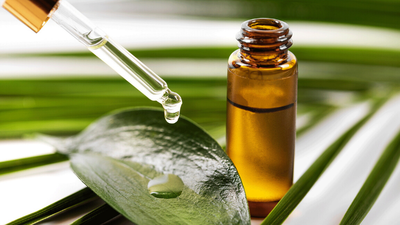 Stylevana - Vana Blog - Tea Tree Oil For Acne Prone Skin